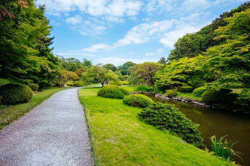Shinjuku Gyoen National Garden 