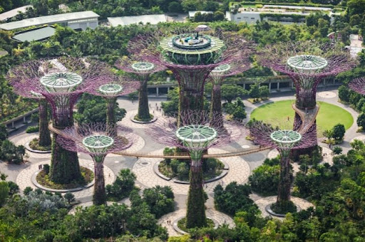 Garden by the Bay in Singapore