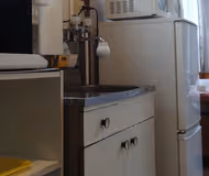 Kameari 211