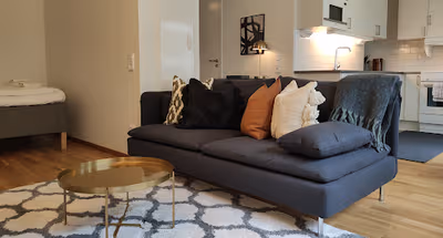 Spaenhusvagen Serviced Apartment, Malmo