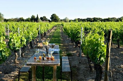 An Enchanting Villa in Provence