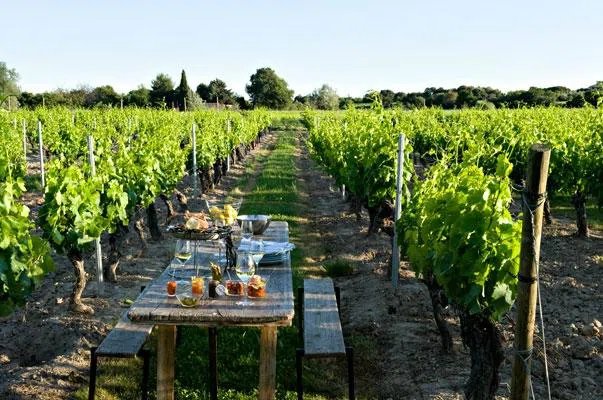 An Enchanting Villa in Provence