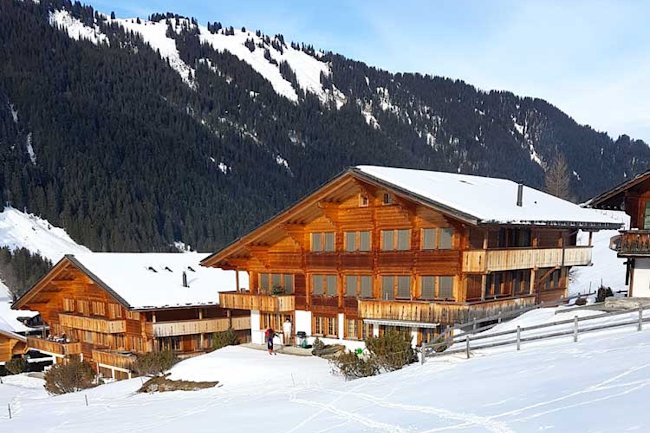 Gstaad Chalet With Breathtaking Views