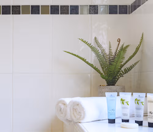 Beechwood House, by Tŷ SA