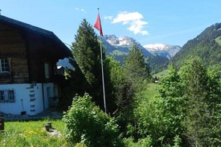 Sun Drenched Lawn and Chalet in Gstaad