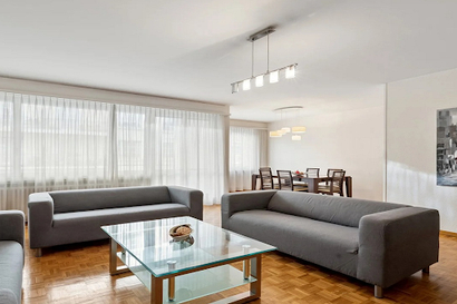 Comfortable and very nice three bedroom apartment in Champel