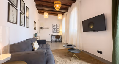 Barcelona Nou Apartments