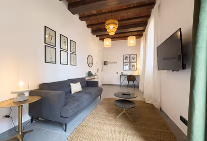 Barcelona Nou Apartments