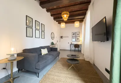 Barcelona Nou Apartments