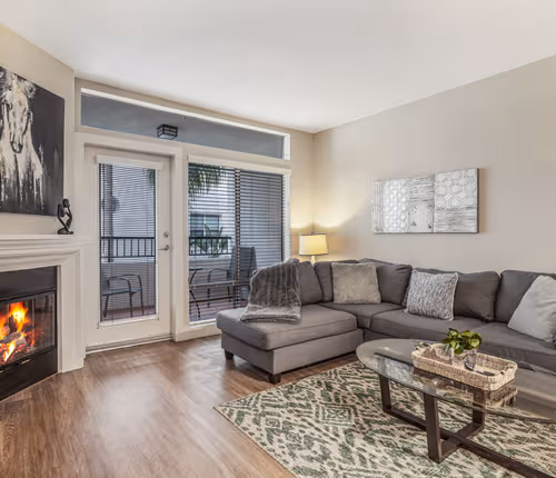 One Bedroom Apartment near Tiverton Ave