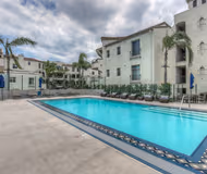 Glendon Westwood  GW-4143-R