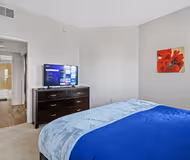 Wilshire Blvd One Bed Apartment
