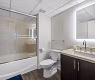Wilshire Blvd One Bed Apartment