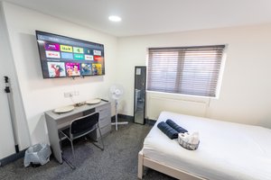 Charming Studio Available