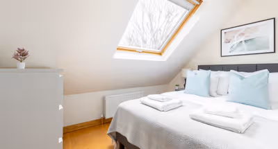 The Acton Collection