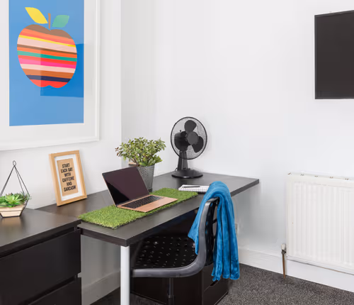 The Vines 5 Bedroom 3.5 Bathroom House & Garden