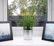 Decorations