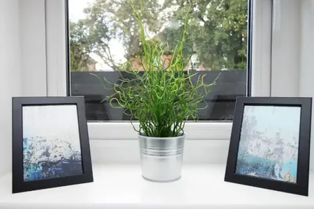 Decorations