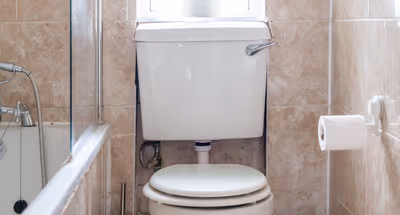 The Angel Collection