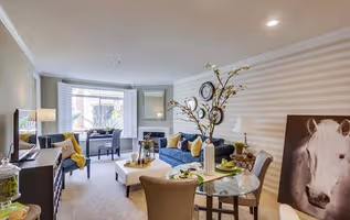 4165 Executive Drive Apartment