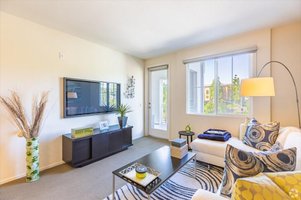 Calle Mar de Mariposa Serviced Apartment