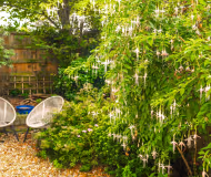 Whitehall Apartments