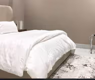 Elegant Three Bedroom apartment in Al Aarid