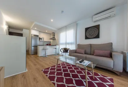 madrid serviced apartment