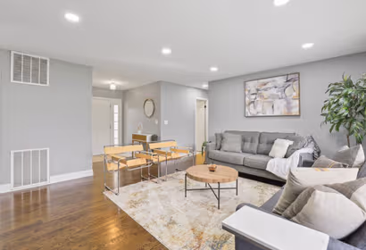 Bolingbrook Modern Suburban Oasis