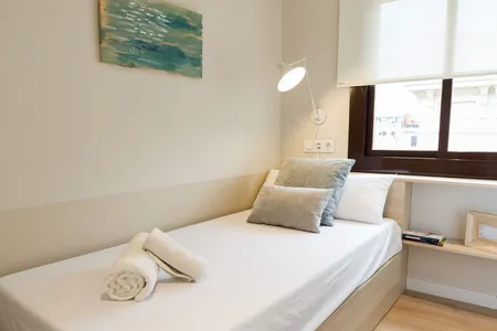 Carrer de la Duana apartment