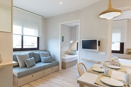 Carrer de la Duana apartment