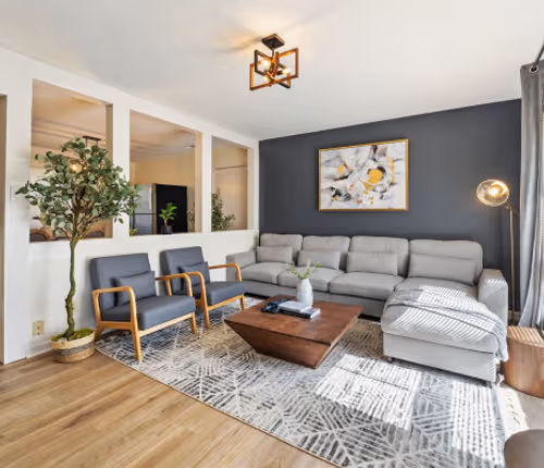 Streamwood Majestic King| Shops|Backyard