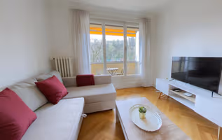 Jonction  serviced apartment