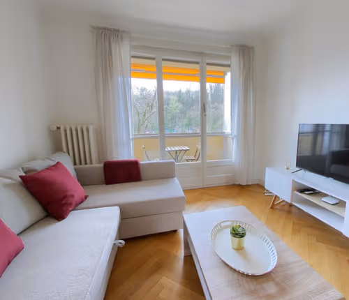 Jonction  serviced apartment