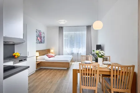 Studio apartment at Bělohorská Residence