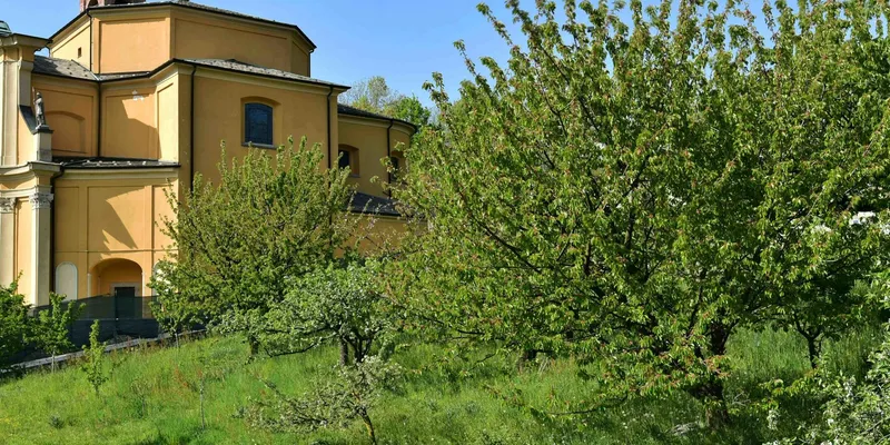The Rustic Retreat