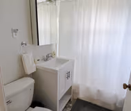 Beautiful, Homey 1BR Close to Longwood Medical