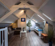 Velsen-Noord Apartment