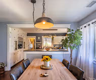 Lost in the Riverside Woods Near Downtown