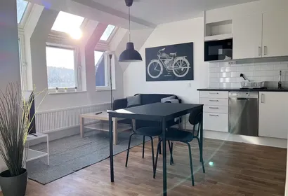 Sundsvall Service Apartment