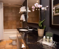 Holiday Inn & Suites Mississauga