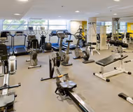 Shelley Street Serviced Apartments