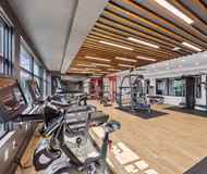 McGill Blvd Apartment