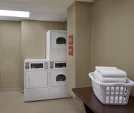 Dougall Ave Apartment