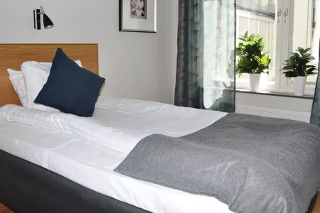 Friggagatan serviced apartment