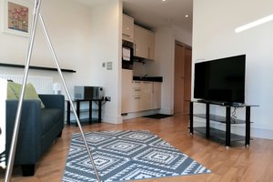 Canary Wharf Executive Apartment