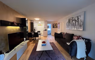 Zurich service apartment