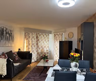 Zurich service apartment