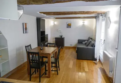 Rue de Rivoli Serviced Apartment, Next to Tuileries, 1st Arr.