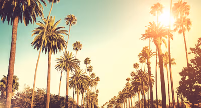 Crescent street Apart